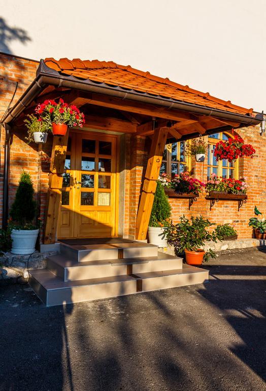 Guest House Vila Djokic Zlatibor Exterior foto